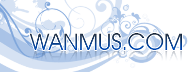wanmus.com